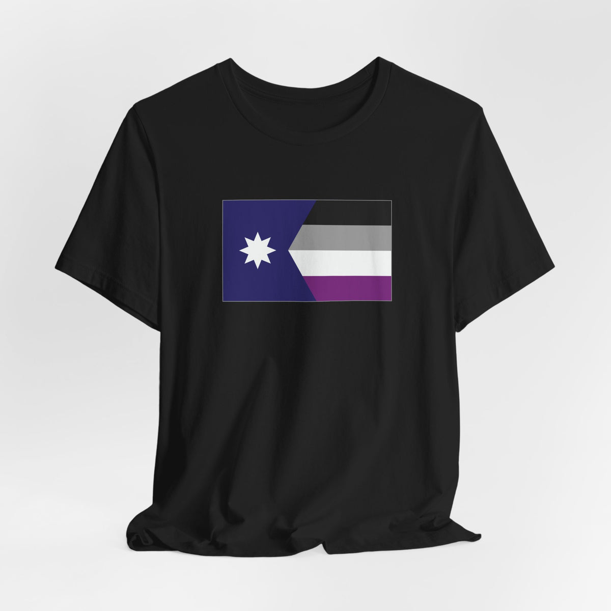 Minnesota Asexual Pride Flag T-shirt, Several Color Options