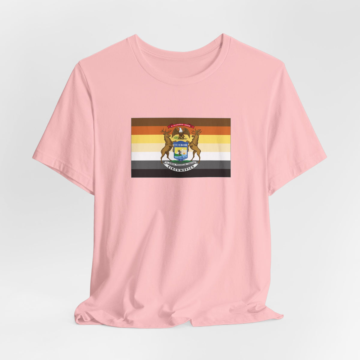 Michigan Bear Pride Flag T-shirt, Several Color Options