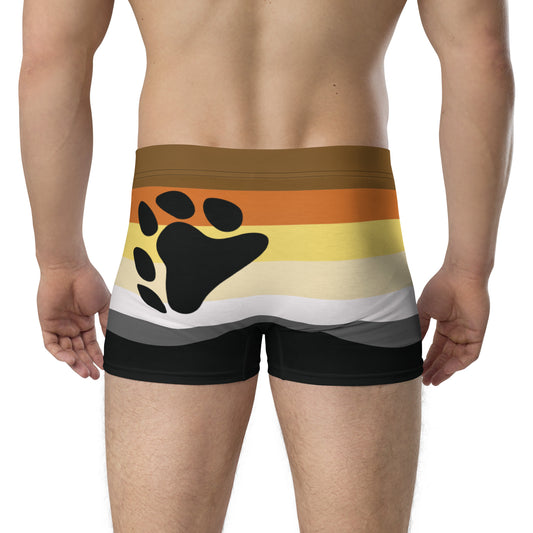Swim Brief – Bear Pride deco